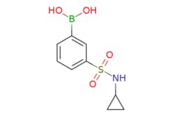 eMolecules​ N-Cyclopropyl 3-boronobenzenesulfonamide | 913835-28-6 | MFCD08436035