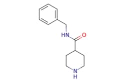 eMolecules​ N-Benzylpiperidine-4-carboxamide | 101264-48-6 | MFCD05863701