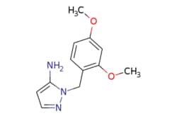 eMolecules​&nbsp;1-(2,4-Dimethoxybenzyl)-1h-pyrazol-5-amine | 1006463-92-8 | MFCD07838430 | 1g