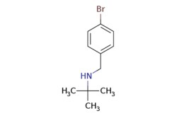 eMolecules​&nbsp;(4-Bromobenzyl)tert-butylamine | 87384-76-7 | MFCD07409423 | 1g