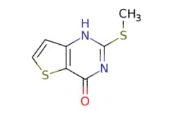 eMolecules​ 2-(Methylthio)thieno[3,2-d]pyrimidin-4(3H)-one | 176530-46-4 | MFCD04110175 | 1g