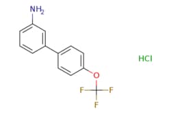 eMolecules​ 3-[4-(Trifluoromethoxy)phenyl]aniline, HCl | 1049736-54-0 |