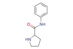eMolecules​ N-phenylpyrrolidine-2-carboxamide | 25746-83-2 | MFCD06740199