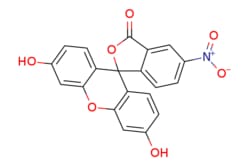 eMolecules​ 5-Nitrofluorescein | 3326-35-0 | MFCD00059693 | 1g, Quantity: