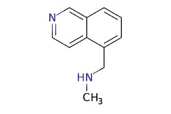 eMolecules​&nbsp;N-(Isoquinolin-5-ylmethyl)-n-methylamine | 157610-84-9 | MFCD08572159 | 1g