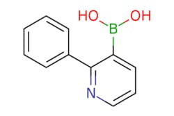 eMolecules​ 2-Phenylpyridine-3-boronic acid | 1029654-14-5 | MFCD07438014
