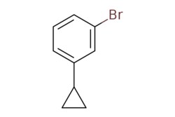 eMolecules​ 1-Bromo-3-cyclopropylbenzene | 1798-85-2 | MFCD01070823 | 1g,