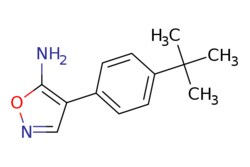 eMolecules​ 4-(4-tert-Butylphenyl)-5-isoxazolamine | 838875-87-9 | MFCD06633635 | 1g