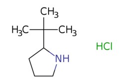 eMolecules​ 2-tert-Butylpyrrolidine, HCl | 558478-78-7 | MFCD07357529 |