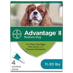 Med Vet International Advantage Ii, Dogs 11-20Lb, 4/Box, 6 Boxes
