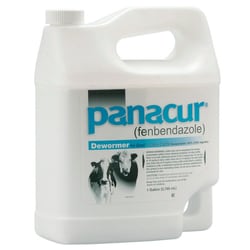 Med Vet International Panacur Suspension (fenbendazole) 10%, 1 gallon,
