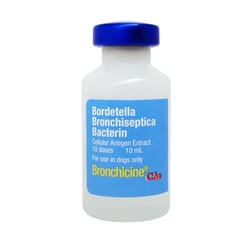 Med Vet International Zoetis, Bronchicine CAe, Bordetella, Bronchiseptica