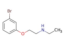 eMolecules​ [2-(3-Bromophenoxy)ethyl](ethyl)amine | 915920-60-4 | MFCD08691849