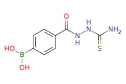 eMolecules​&nbsp;2-(4-Boronobenzoyl)hydrazinecarbothioamide | 957060-76-3 | MFCD09027244 | 1g
