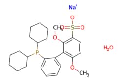 eMolecules​ 2'-Dicyclohexylphosphino-2,6-dimethoxy-3-sulfonato-1,1'-biphenyl hydrate sodium salt | 1049726-96-6 | MFCD07781994 | 25g