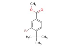 eMolecules​ Methyl 3-bromo-4-(tert-butyl)benzoate | 14034-08-3 | MFCD09966022