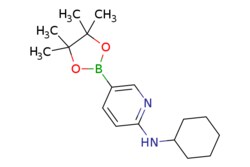 eMolecules​ 1073354-34-3 | 6-(Cyclohexylamino)pyridine-3-boronic acid pinacol