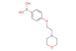 eMolecules​ 4-(2-Morpholinoethoxy)phenylboronic acid | 279262-19-0 | MFCD09743124