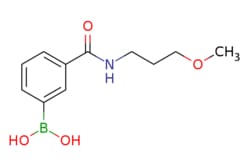 eMolecules​ 3-(3-Methoxypropylcarbamoyl)phenylboronic acid | 957061-22-2