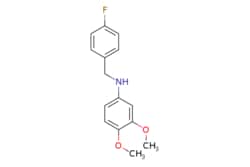 eMolecules​ N-(3,4-Dimethoxyphenyl)-4-fluorobenzylamine | 1019542-69-8