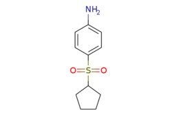 eMolecules​ 4-(Cyclopentanesulfonyl)aniline | 86810-83-5 | MFCD10666938 | 1g