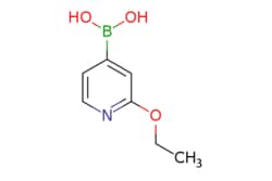 eMolecules​&nbsp;2-Ethoxypyridine-4-boronic acid | 1072946-58-7 | MFCD07374989 | 1g