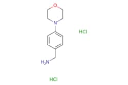 eMolecules​ 1-(4-Morpholin-4-ylphenyl)methanamine dihydrochloride | 1185488-45-2