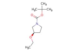 eMolecules​ tert-Butyl (3R)-3-ethoxypyrrolidine-1-carboxylate | 1212350-10-1