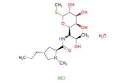 eMolecules​ Lincomycin hydrochloride monohydrate | 7179-49-9 | MFCD00167245