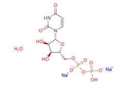 eMolecules​ Uridine 5'-diphosphate disodium salt hydrate | | MFCD00149253