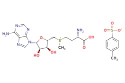 eMolecules​ S-Adenosyl-L-methionine tosylate | 52248-03-0 | MFCD00063498
