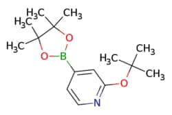 eMolecules​ 2-t-Butoxypyridine-4-boronic acid pinacol ester | 1256358-89-0
