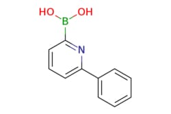 eMolecules​ 6-Phenylpyridine-2-boronic acid | 1218790-96-5 | MFCD11223197