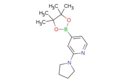 eMolecules​ 2-(Pyrrolidino)pyridine-4-boronic acid pinacol ester | 1259445-03-8 | MFCD12032385 | 1g