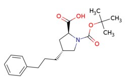 eMolecules​&nbsp;(2S,4R)-1-(tert-Butoxycarbonyl)-4-(3-phenylpropyl)pyrrolidine-2-carboxylic acid | 220424-73-7 | MFCD06659444 | 1g
