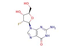 eMolecules​&nbsp;2'-Deoxy-2'-fluoroguanosine | 78842-13-4 | MFCD00923832 | 1g
