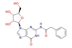 eMolecules​ N2-Phenylacetyl guanosine | 132628-16-1 | MFCD06657651 | 1g,