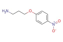 eMolecules​ 3-(4-Nitrophenoxy)propylamine | 100841-04-1 | MFCD09923512