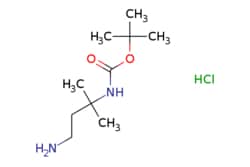 eMolecules​&nbsp;3-N-Boc-3-methylbutane-1,3-diamine-hcl | 1179359-61-5 | MFCD12755995 | 1g