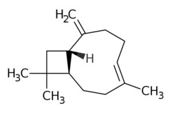 eMolecules​ Beta-caryophyllene | 87-44-5 | MFCD00075925 | 25g, Quantity: