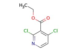 eMolecules​ Ethyl 2,4-dichloronicotinate | 62022-04-2 | MFCD12407388 |