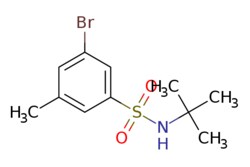 eMolecules​ t-Butyl 3-Bromo-5-methylbenzenesulfonamide | 1033201-97-6 |