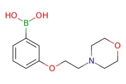 eMolecules​ 3-(2-Morpholinoethoxy)phenylboronic acid | 787591-35-9 | MFCD11053818