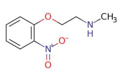 eMolecules​ N-Methyl-2-(2-nitrophenoxy)ethanamine | 1038700-63-8 | MFCD11053870 | 1g