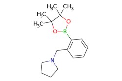 eMolecules​ 2-(Pyrrolidinomethyl)phenylboronic acid, pinacol ester | 1150271-49-0