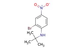 eMolecules​ N-t-Butyl 2-bromo-4-nitroaniline | 952664-76-5 | MFCD11855829