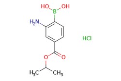 eMolecules​ 2-Amino-4-(isopropoxycarbonyl)phenylboronic acid, HCl | 1150114-64-9