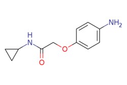 eMolecules​ 2-(4-Aminophenoxy)-N-cyclopropylacetamide | 926261-52-1 | MFCD09046477 | 1g