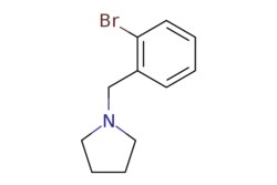 eMolecules​&nbsp;1-(2-Bromobenzyl)pyrrolidine | 91130-46-0 | MFCD07775746 | 1g