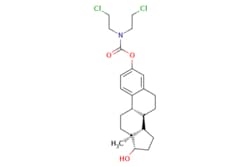 eMolecules​ Estramustine | 2998-57-4 | MFCD00866377 | 1g, Quantity: Each